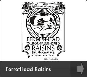 FerretHead Raisins Design - White