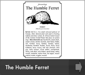 FerretHead Humble Ferret Design